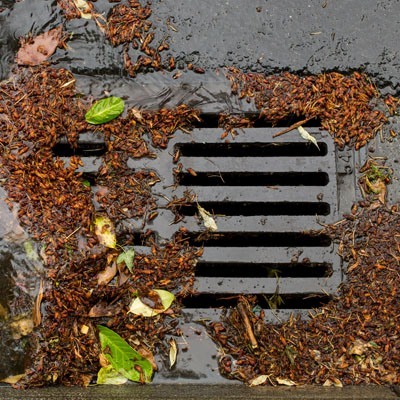 How much does it cost to unblock my drains?